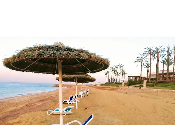 The Groove قريه ذا جروف السخنه *
